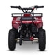 thumbnail image 3 of Cuatrimoto Infantil TRECK SCALA 50 Rojo/Blanco 2026, 3 of 8