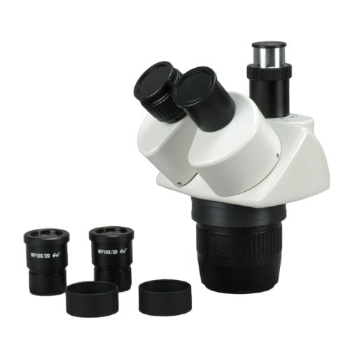 AmScope SW24TZ Trinocular Stereo Microscope Head, WH10x Eyepieces, 20X/40X/80X Magnification, 2X/4X Objective, Includes