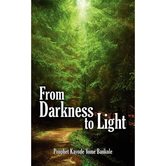 From Darkness to Light (Paperback)