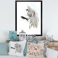 thumbnail image 3 of Designart 'Ancient Australian Bird Illustrations II' Traditional Framed Art Print, 3 of 4