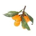 thumbnail image 1 of facefd Artificial Simulation Fruits Model Yellow Artificial Lifelike Loquat for Home Kitchen Decoration, 1 of 7