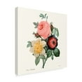 thumbnail image 2 of Trademark Fine Art 'Blushing Bouquet II' Canvas Art by Pierre Redoute, 2 of 4