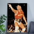 thumbnail image 5 of Hulk Hogan 4 championship belt in the ring 2025 Size 24''x36'' - Postora, 5 of 5