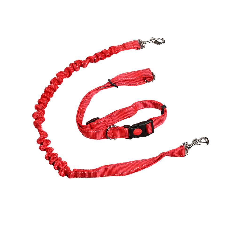 walmart leashes