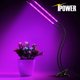 thumbnail image 3 of Luz LED para el crecimiento de plantas, clip de luz para plantas, luz solar de espectro completo temporizada, luz complementaria para plántulas de hierbas y flores suculentas, 3 of 5