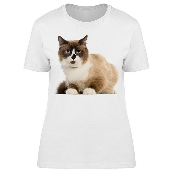 Shorthair Cat Staring T-Shirt Women -Image by Shutterstock, Female Large