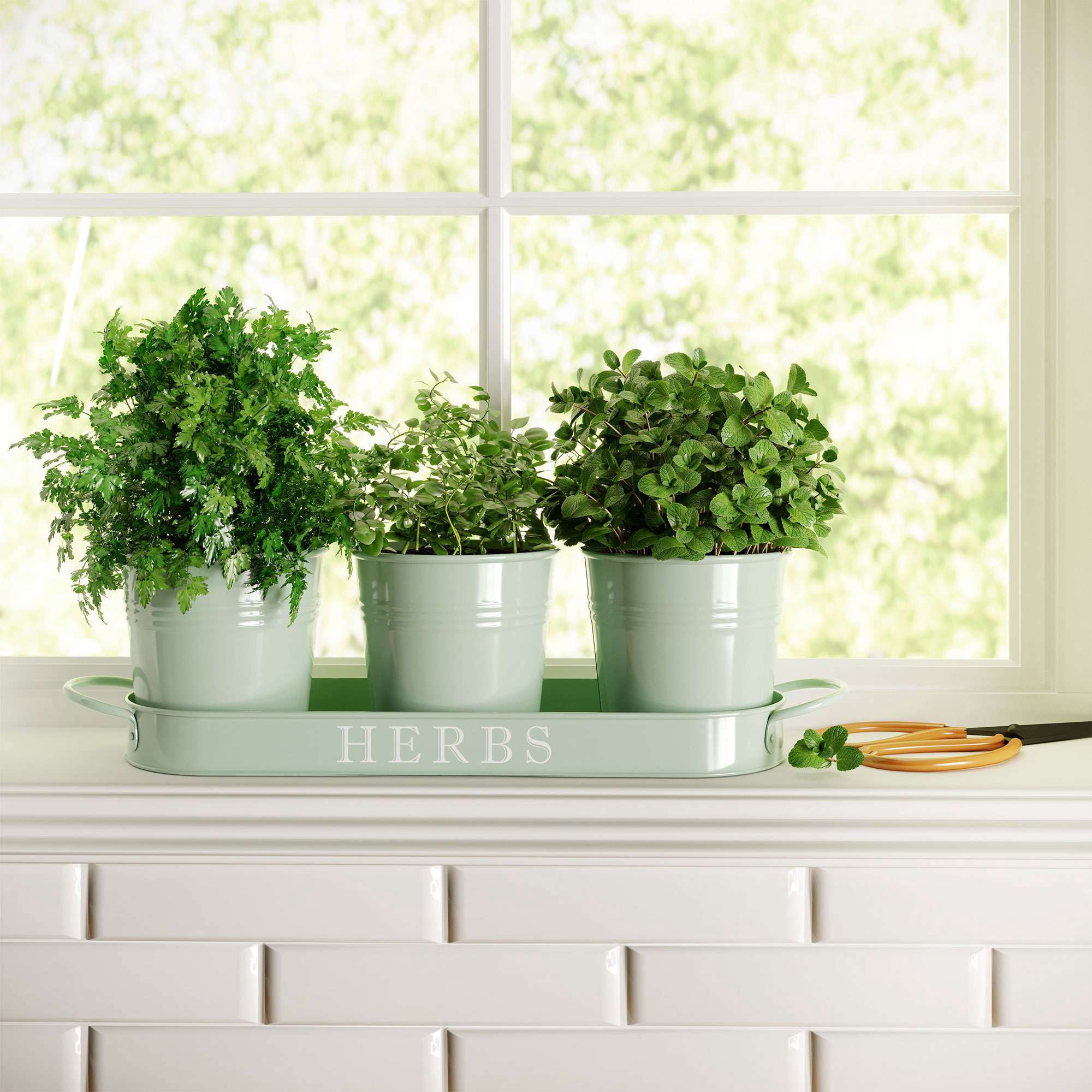 Kitchen Windows Planter Box Wooden Windowsill Kitchen Herb Planter Box