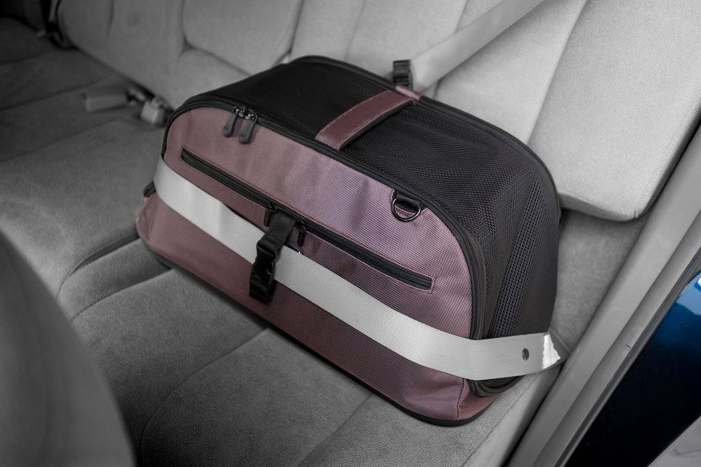 Sleepypod Air - Airline Approved Carrier and Crash-Tested Car Seat for Cats and Dogs up to 18 lbs. (Chocolate Brown)