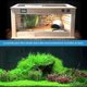 thumbnail image 5 of Termostato Terrario, Premio Termostato Refroidissement et Chauffage, Termostato de Reptil para Serpientes, Tortugas, Lézards, Geckos y Otros Reptiles, 5 of 5