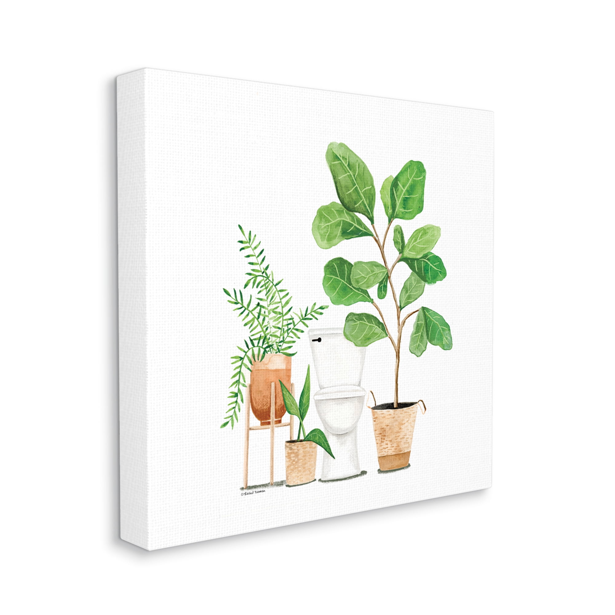 Stupell Bathroom Greenery Varied Plants Botanical & Floral Painting Gallery Wrapped Canvas Print Wall Art