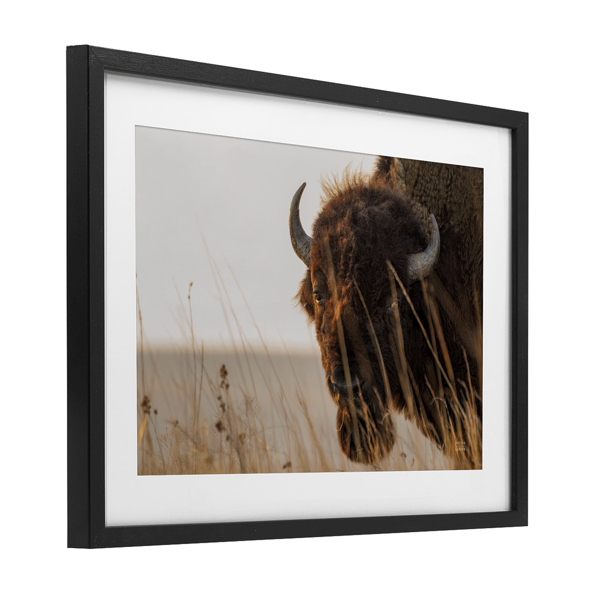 Stupell Industries Bison Sunset on Golden Prairie Black Framed Print Under Glass, design by Nathan Larson