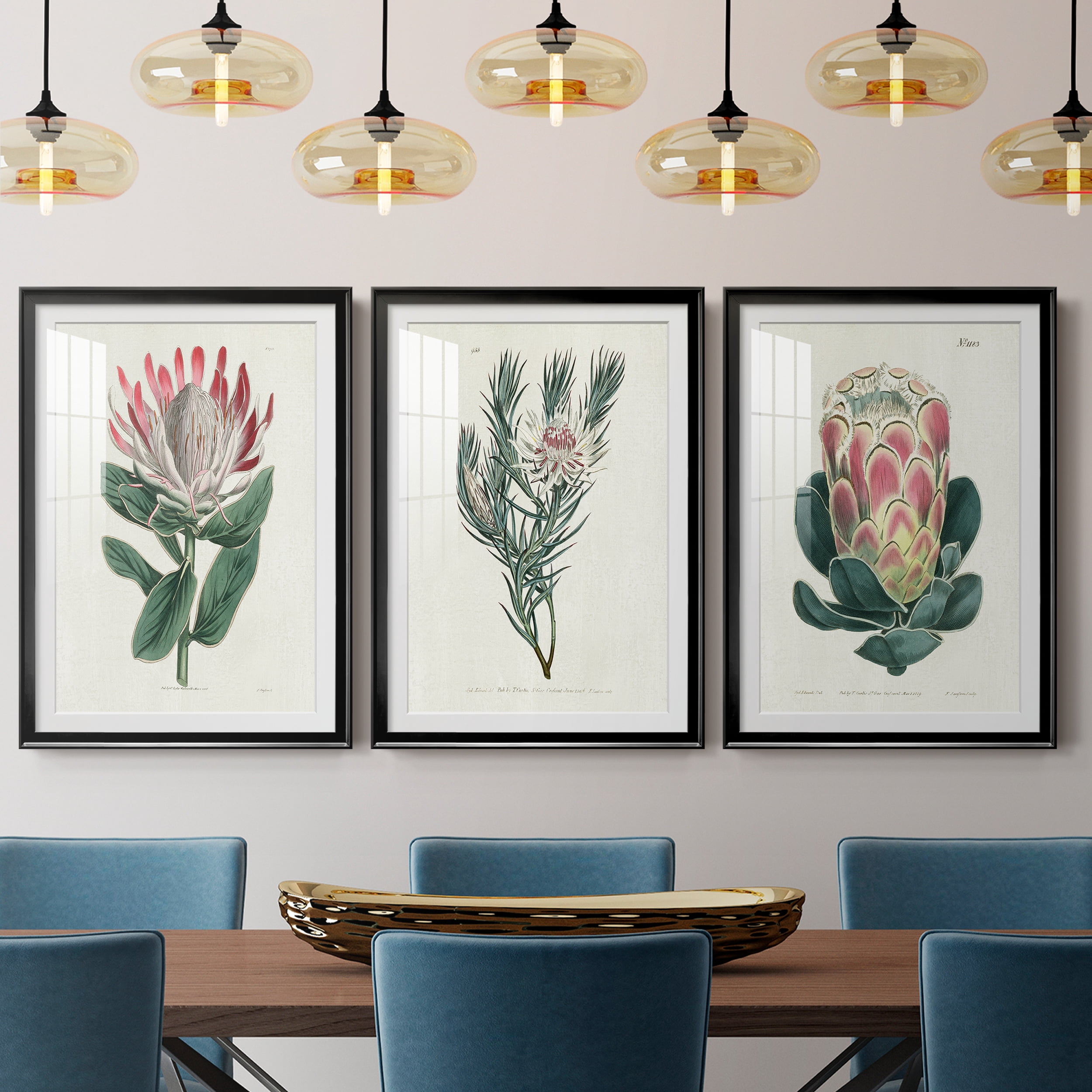 Protea N13 Premium Framed Prints Set of 3 - Ready to Hang - 26.5 x 36.5 Each - Black Frame