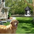 thumbnail image 2 of EcoNesxp Birdhouse barking device barking control device barking control black anti-barking, 2 of 5