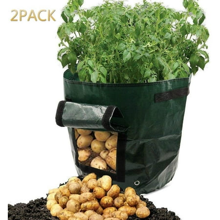 [2Pack]Vegetable Grow Bag, Lychee 10 Gallon PE Potato Planter Grow Bag Vegetables Container Bag with Handles, Pack of 2, (Best Place To Grow Potatoes)
