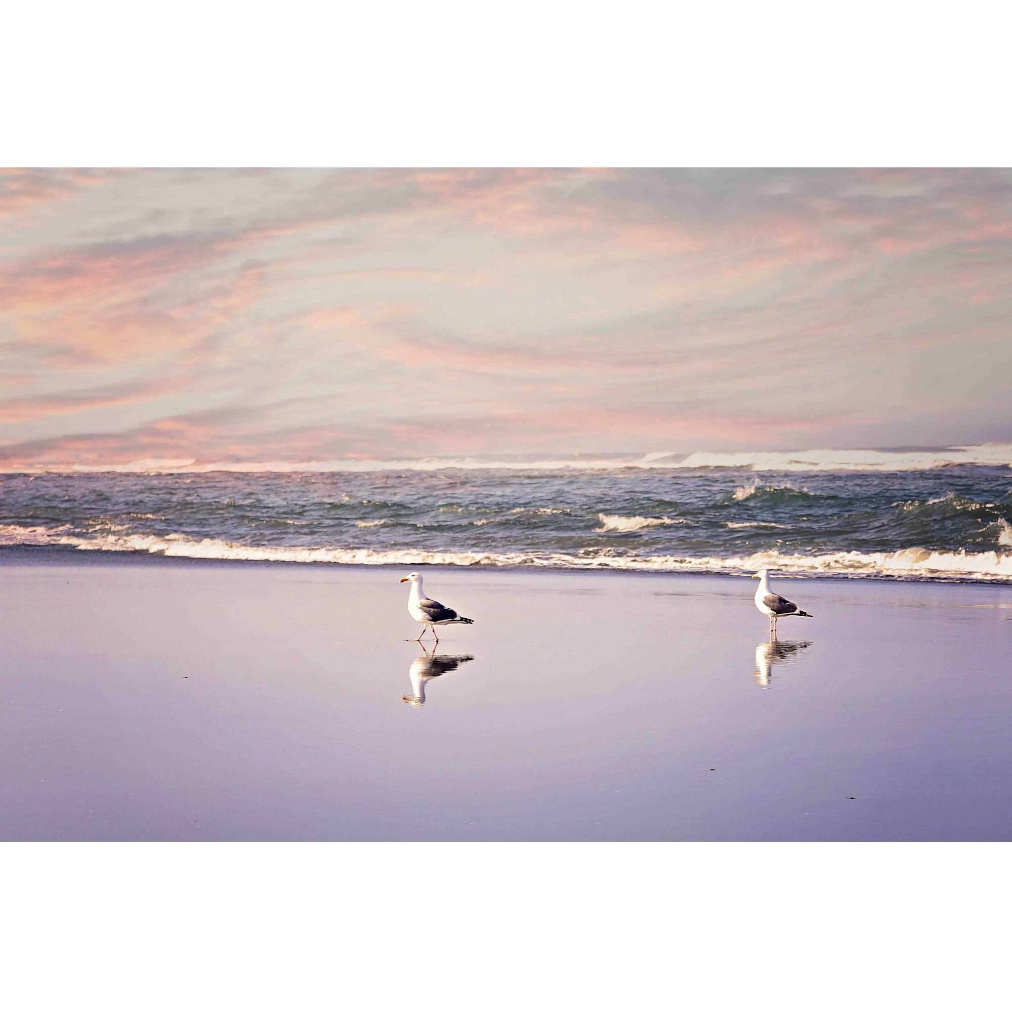 Marmont Hill "2 Seagulls" by Sylvia Cook Painting Print on Canvas