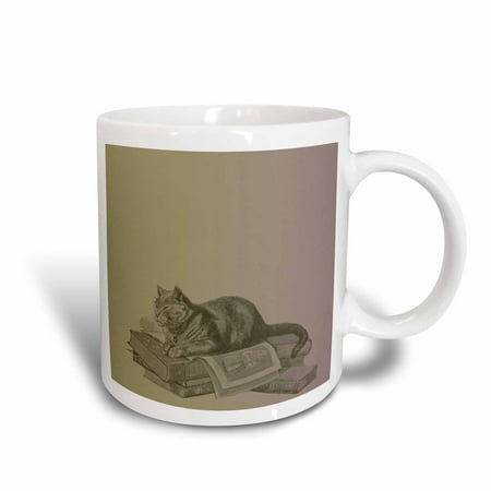 3dRose Cat on Books pets animal art, Ceramic Mug, 11-ounce