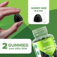 thumbnail image 2 of Sugar Free Moringa Gummies, 10000mg, 60 Count, Energy & Antioxidant Support, Plant-Based, Gluten Free, Non-GMO08581709500685, 2 of 6