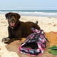 thumbnail image 4 of onlyliua ¡ Ofertas Del Día Liquidación Prime! Chaleco Salvavidas para Mascotas, Abrigo Reflectante para Exteriores, Ropa para Perros, Traje de Baño para Mascotas, 4 of 7