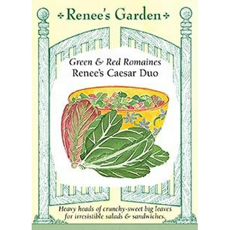 Lettuce, Romaine, Caesar Duo, Grow Your Own Caesar Salads By Renees Garden