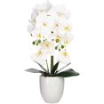 thumbnail image 3 of Artificial Orchid Arrangements with Large Vase 20-24 Inch Fake Flower Table Centerpiece Home Decor Indoor (Large White), 3 of 5