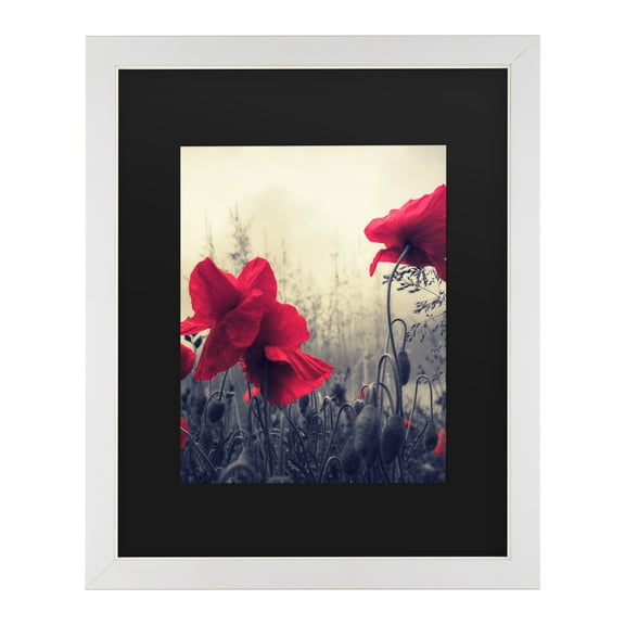 Trademark Fine Art 'Limitless' Canvas Art by Philippe Sainte-Laudy