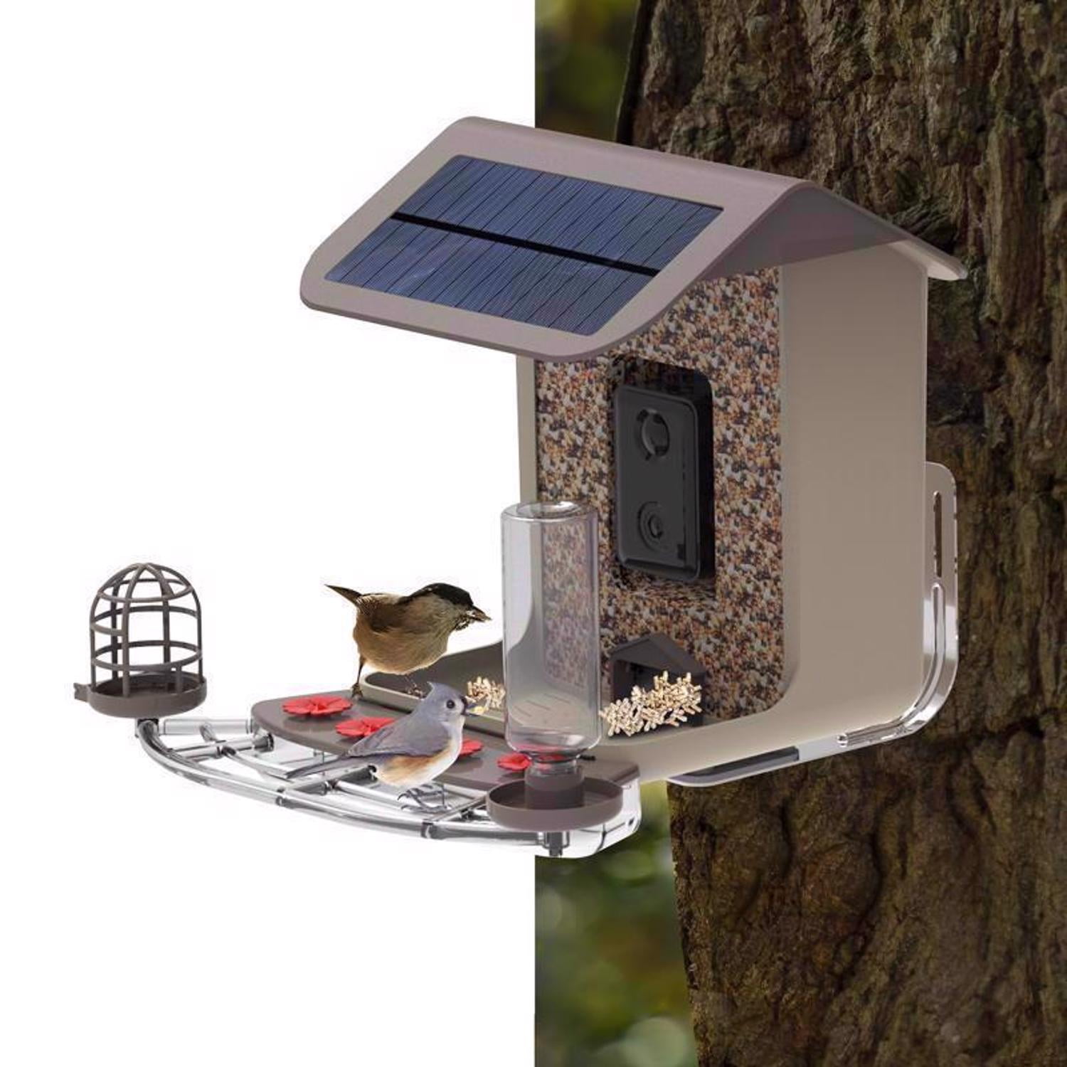 Feit 2.5 Liter 1 Ports Smart Camera Wild Bird Plastic Bird Feeder, Brown