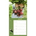 thumbnail image 4 of Workman Publishing, Vegetable Gardener 2023 Wall Calendar, 4 of 4