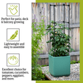thumbnail image 5 of Gardener's Supply Company Oasis Self-Watering Tomato Vegetable Planter with Trellis, 5 of 7