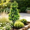 thumbnail image 5 of Artificial Flowers & UV Resistant with Ground Spike, Outdoor & Indoor Fake Spike Plants for Lawn, Yard, Garden & Home Decoration,Green, 5 of 6