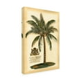 thumbnail image 3 of Trademark Fine Art Vision Studio British Colonial Palm Iii Canvas Wall Art - 30x47, 3 of 5