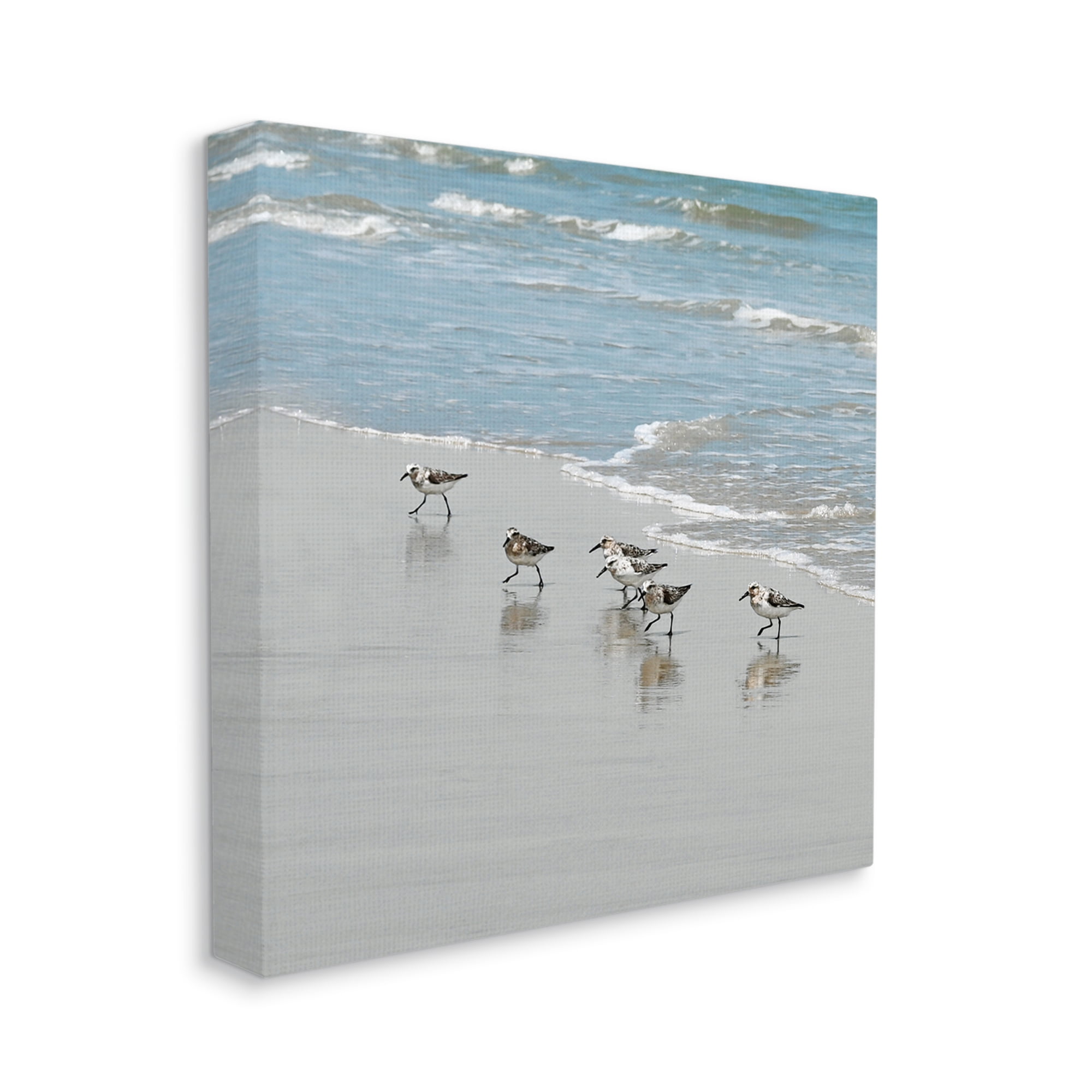 Stupell Industries Sandpipers on Shore Reflection Coastal Painting Gallery Wrapped Canvas Print Wall Art