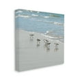 thumbnail image 3 of Stupell Industries Sandpipers on Shore Reflection Coastal Painting Gallery Wrapped Canvas Print Wall Art, 3 of 7