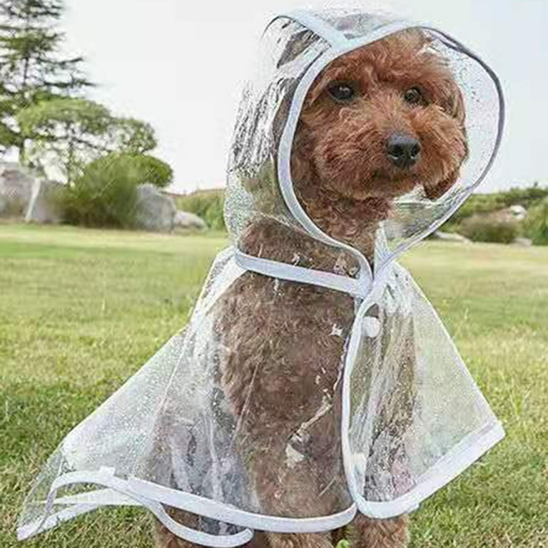 Clear dog raincoat sale
