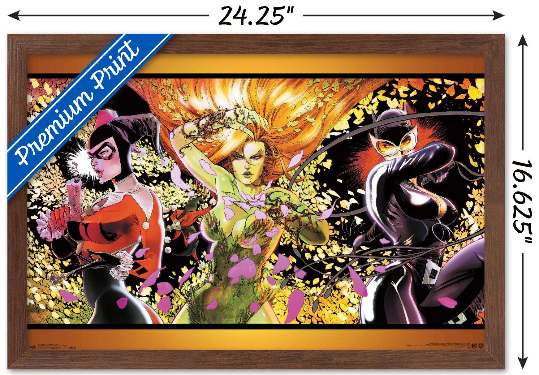 DC Comics - Batman - Dangerous Ladies Wall Poster, 14.725" x 22.375", Framed