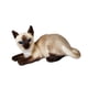 thumbnail image 3 of Gato de peluche gatito de juguetes pellintos decoración de la habitación para niños de la habitación de los niños realistas huggables de cola larga de Gato siamés 30 cm, 3 of 9