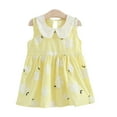 thumbnail image 2 of WOLLED Toddler Baby Girls Casual Dresses 1-6T Floral Dress Sundress Princess Dress Summer Sleeveless Peter Pan Collar Dress, 2 of 11