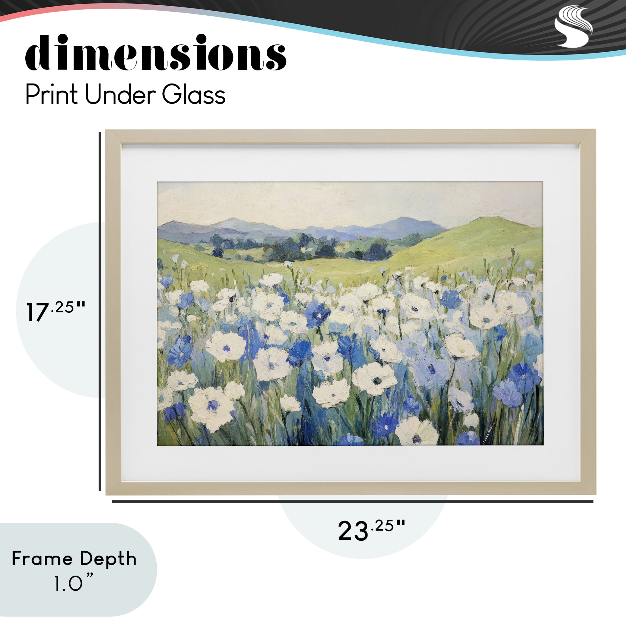 Stupell Industries Blue & White Daisies Birch Framed Print Under Glass, design by Petal Prints Design