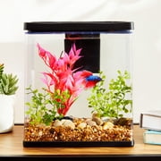 Vibrant Life Betta View Aquarium Starter Kit, 3 Gallon