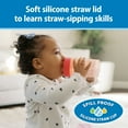 thumbnail image 3 of Dr. Brown's Milestones Straw to 360 Convertible Training Cups, Pink Coral, 2-Pack, 3 of 12