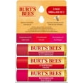 thumbnail image 1 of Burt's Bees 100% Natural Origin Moisturizing Lip Balm, Superfruit Mix 3pk, 1 of 6