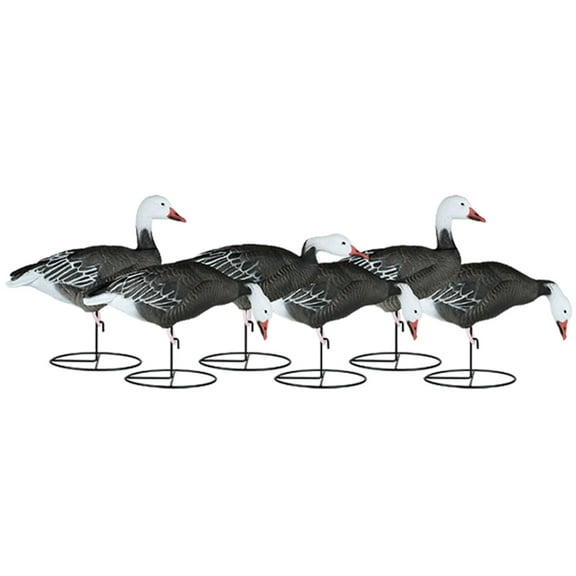 Dakota Decoy X-Treme Full Body Blue Goose Decoy 6PK