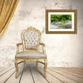 thumbnail image 3 of Day, Richard and Susan 32x23 Gold Ornate Wood Framed with Double Matting Museum Art Print Titled - Middle Prong Little River in spring-Great Smoky Mountains National Park-Tennessee, 3 of 4
