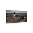 thumbnail image 2 of Trademark Fine Art 'A Break In The Ice Canada Geese' Canvas Art by Ron Parker, 2 of 3
