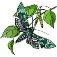 thumbnail image 2 of CafePress - Butterfly 5 - Cute Infant Baby Football Bodysuit, 2 of 3