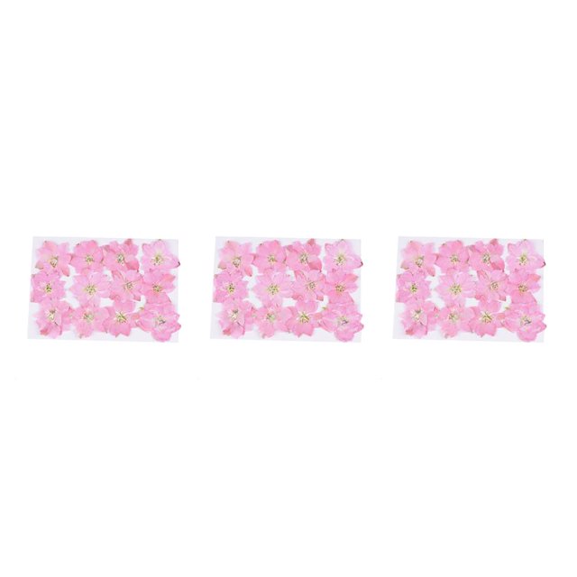 Matsuzay 12 piezas de flores secas, espécimen prensado teñido Natural en gran comodidad, suministros para álbumes de recortes para carcasa de Type1 NO1 Matsuzay CBP228500