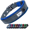 thumbnail image 1 of Collar para Perros Black Rhino, Neopreno Acolchado, Costuras reflectantes, Ajustable, XL (Azul/Gris) azul cielo L, 1 of 7