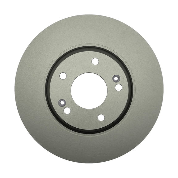 Raybestos R-300 : Front Brake Rotors, Rust Prevention, Improved Pedal Feel