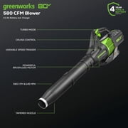 Greenworks 80V 21 Self-Propelled Mower/580CFM Blower Combo kit with 4Ah Battery and 4A Rapid Charger
