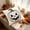 Black, variant on YAWUBT Halloween Tufted Embroidery Jack-O'-Lantern Throw Pillow, 18x18 Inch Decorative Accent Pillow, Farmhouse Halloween Pumpkin Cushion, Home Decor