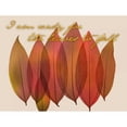 thumbnail image 3 of Koetsier, Albert 14x12 Black Modern Framed Museum Art Print Titled - Fall Harvest, 3 of 5